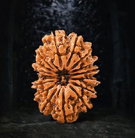 Original certified 21 mukhi rudraksha beads for men and women