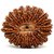 100 Original Rudraksha 21 Mukhi Beads Natural 21 Face for men and women