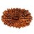 Original Certified 21 Mukhi Rudraksha Beads For Men And Women