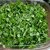 VXI-633- Basil Italian Green Sprout seeds