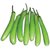 BRINJAL HYBRID SEEDS-25-266