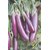 Dioart Brinjal Hybrid Seeds-140