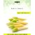 Dioart Corn Seeds-68