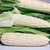 Dioart Corn Seeds-156