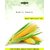 Dioart Corn Seeds-104