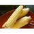 Dioart Corn Seeds-330