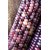 Dioart Corn Seeds-340