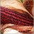 Dioart Corn Seeds-205