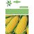 Dioart Corn Seeds-211