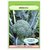 Dioart Broccoli Seeds  100 SEEDS 266