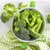 Dioart Broccoli Seeds  50 SEEDS 460