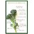 Dioart Broccoli Seeds  50 SEEDS 511