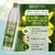 Aryanveda Herbals Haldi Chandan Bleach Cream 250gm & Aloevera And Cucumber Hydra Body Moisturizing Lotion, 1000mL