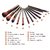 Makeup Brush Set 12Pc pack of 1