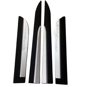 Side Door Cladding/Molding For ECOSPORT  Set Of 4, Genuine ABS