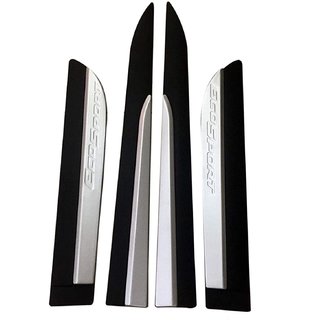 Side Door Cladding/Molding For ECOSPORT  Set Of 4, Genuine ABS