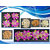 Cashew Amlond Kaju Badam Pista Kishmish (100gm x 4 ) Dry Fruits and Nuts Box Pack Diwali Gift Pack For your Loved Ones
