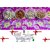 Cashew Amlond Kaju Badam Pista Kishmish (100gm x 4 ) Dry Fruits and Nuts Box Pack Diwali Gift Pack For your Loved Ones
