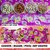 Cashew Amlond Kaju Badam Pista Kishmish (100gm x 4 ) Dry Fruits and Nuts Box Pack Diwali Gift Pack For your Loved Ones