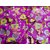 Cashew Amlond Kaju Badam Pista Kishmish (100gm x 4 ) Dry Fruits and Nuts Box Pack Diwali Gift Pack For your Loved Ones