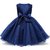 Clobay bow beauty frock for girls