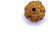 Raviour lifestyle 7 mukhi rudraksha Beads