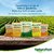 NatureFest Yellow Toor Dal (Split/Chilka) 500 g