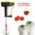 Hand Blender  Egg Beater  Whisker for Kitchen with Wire Blades, Power Free Manual Blender (Multi)(Pack 2)