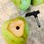 K kudos Stainless Steel Coconut Opener Tool, Straw Hole Maker Safe  Easy to Open Young  Mature Coconuts Tool