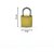 Brass Padlock, Solid Imitation Copper Lock Highly Durable with 2 Keys