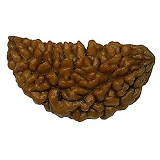 JAIPUR GEMSTONE-Brown Certified 1 Mukhi Indonesian Rudraksha for Unisex