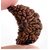 JAIPUR GEMSTONE-1 Mukhi Rudraksha and Kaju Dana Rudraksha Certified by Lab Certified Rudraksh