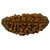 JAIPUR GEMSTONE-1 Mukhi Lab Certified Siddha Rudraksha (Brown)