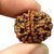 JAIPUR GEMSTONE-1/ One Mukhi Rudraksha Lab Certified Original Pure Siddha