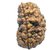 Jaipur Gemstone-natural 1 Mukhi Rudraksha With Lab Certifiedek Mukhi Rudrak