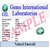 CEYLONMINE- Natural Emerald stone 5.5 ratti unheated  untreated precious loose gemstone Green emerald ( panna )