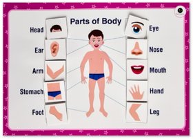 ilearnngrow  Comprehensive English Kit