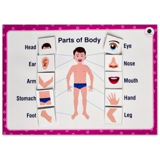 ilearnngrow  Comprehensive English Kit