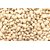 Plantzoin Cowpea Lobiya Vigna unguiculata Jhudanga 50 Seeds for Cultivation