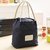 Importedkart Waterproof Bento Lunch Bag Travel Beach Camping Picnic Storage Organizer Bag (Imported Item)2017