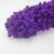Importedkart 15Mm Width Pom Trim Ball Fringe Ribbon Diy Sewing Accessories Lace Trims 25Yard / Lot (Imported Item)35132