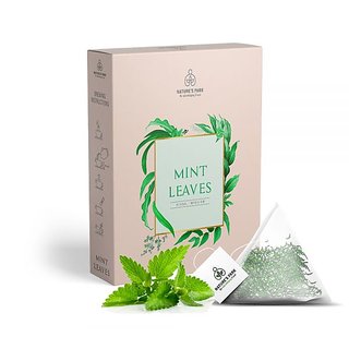 Nature's Park Mint Leaves Herbal Infusion - Easy Digestion, Cool  Refreshing Peppermint, USDA Certified, (Pyramid Infusion Bags-5)