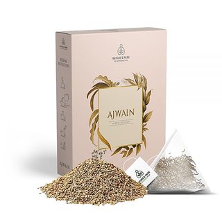 Nature's Park Ajwain Infusion in - Rich in Antioxidants  Detoxifies The System Lemon Ajwain , USDA Certified, (Pyramid Infusion Bags-5)