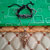 M Men Style Large Om Trishul damaru Om   Grey  Leather Zinc Jwellery Set For Men And Women