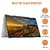 Hp Pavilion X360 Core I5 11Th Gen - (16 Gb/512 Gb Ssd/Windows 11 Home) 14-Dy1010Tu Thin And Light Laptop(14 Inch, Natural Silver, 1.52 Kg, With Ms Office)