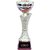 Sigaram 13 Inches Trophy For Appreciation Gift,Sport, Academy, Awards K2174 Trophy (13 inch)