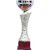Sigaram 13 Inches Trophy For Appreciation Gift,Sport, Academy, Awards K2174 Trophy (13 inch)