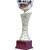 Sigaram 13 Inches Trophy For Appreciation Gift,Sport, Academy, Awards K2174 Trophy (13 inch)