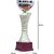 Sigaram 13 Inches Trophy For Appreciation Gift,Sport, Academy, Awards K2174 Trophy (13 inch)