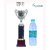 Sigaram 10 Inches Trophy For Appreciation Gift,Sport, Academy, Awards K2214 Trophy (10 inch)